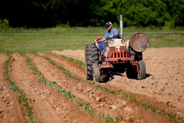 Micro tracteur d'occasion : votre guide pour l'achat malin